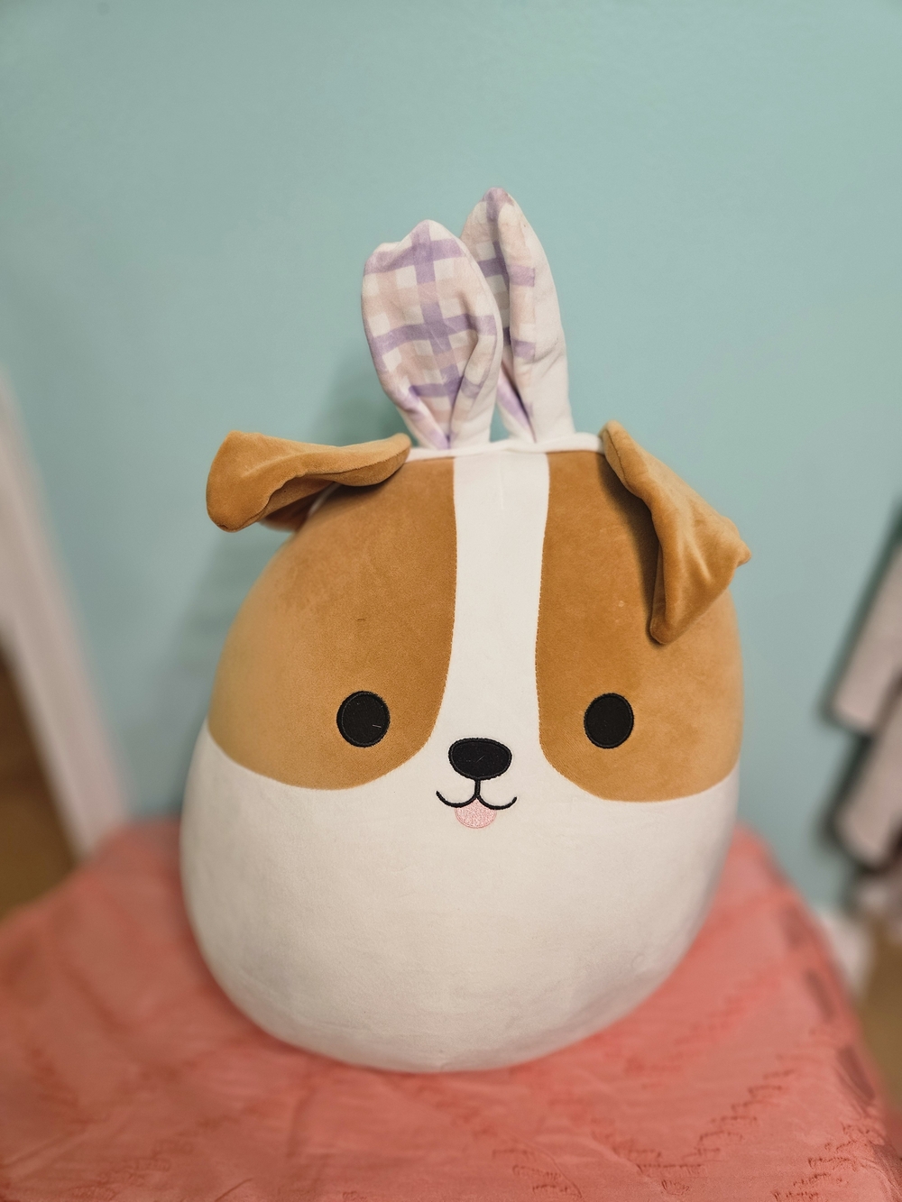 Brenden the Jack Russell/Corgi with bunny ears from the Squishmallows Easter2023